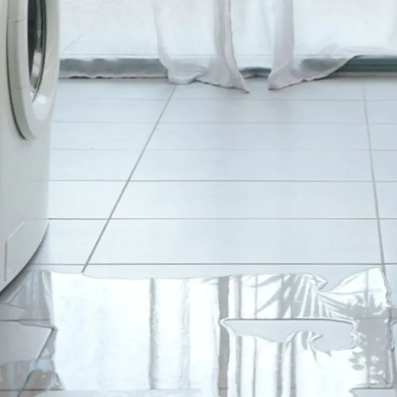 Appliance Leak Cleanup in Temperance, MI