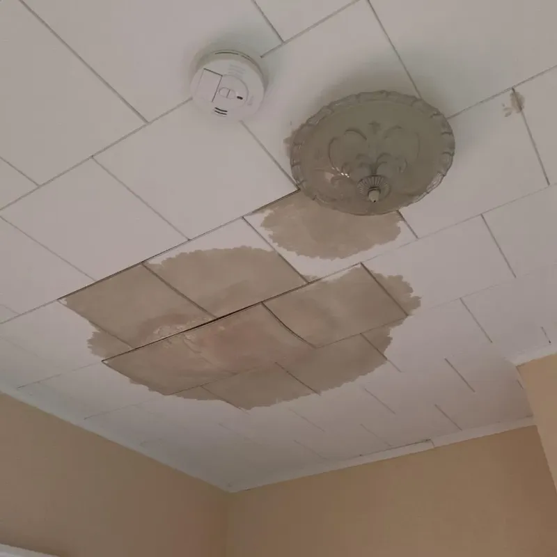Ceiling Water Damage Repair in Temperance, MI