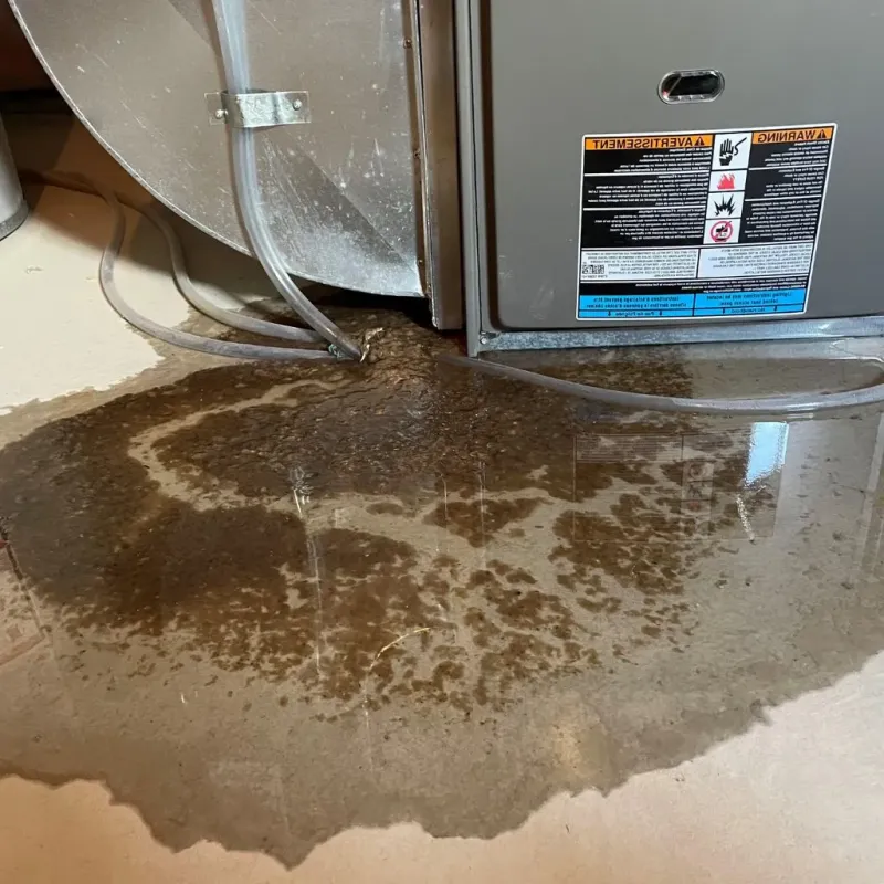 Pipe Burst and Leak Restoration in Temperance, MI