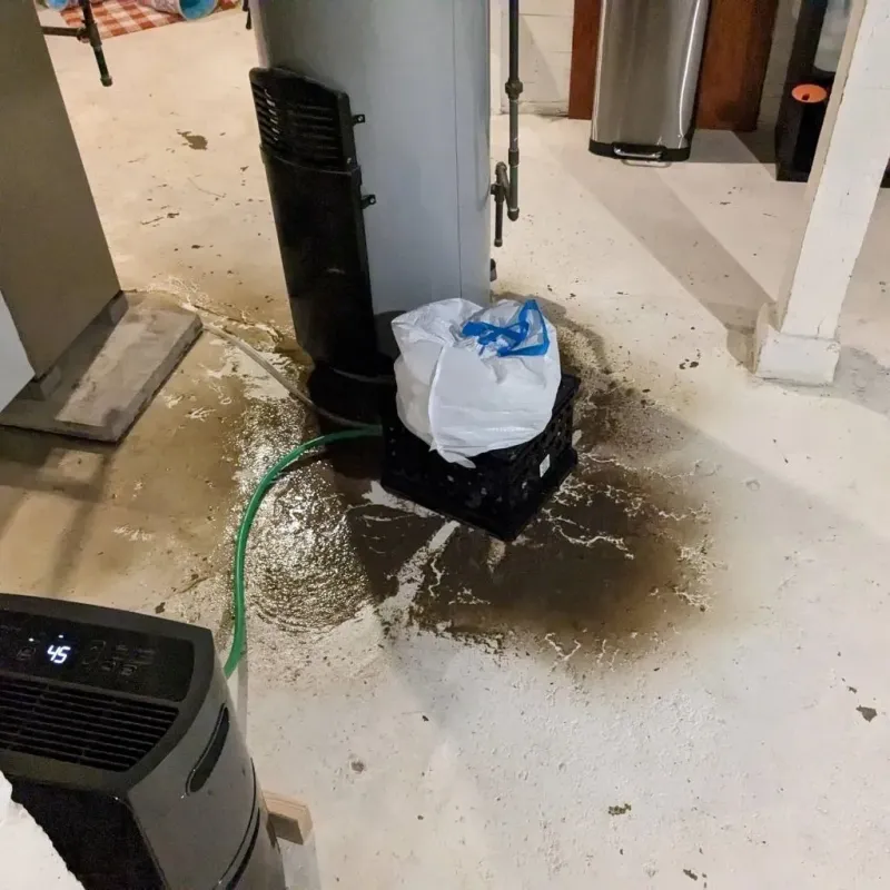 Sewage Backup Cleanup Service in Temperance, MI